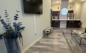 Beautiful Condo/Rooftop Patio With Free Parking